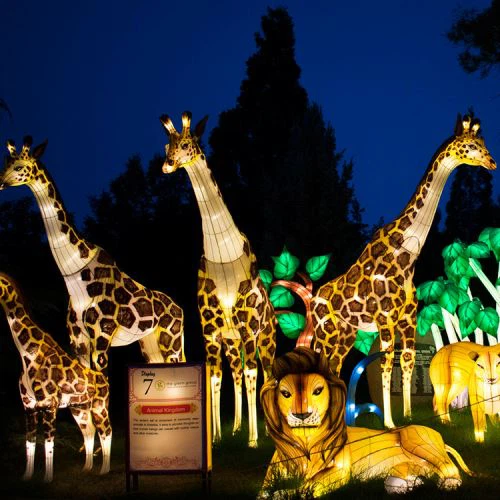 A Safari Park Lámpás Fesztivál Projekt kiállítása